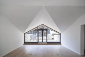 IMG 3890 Mejorado NR